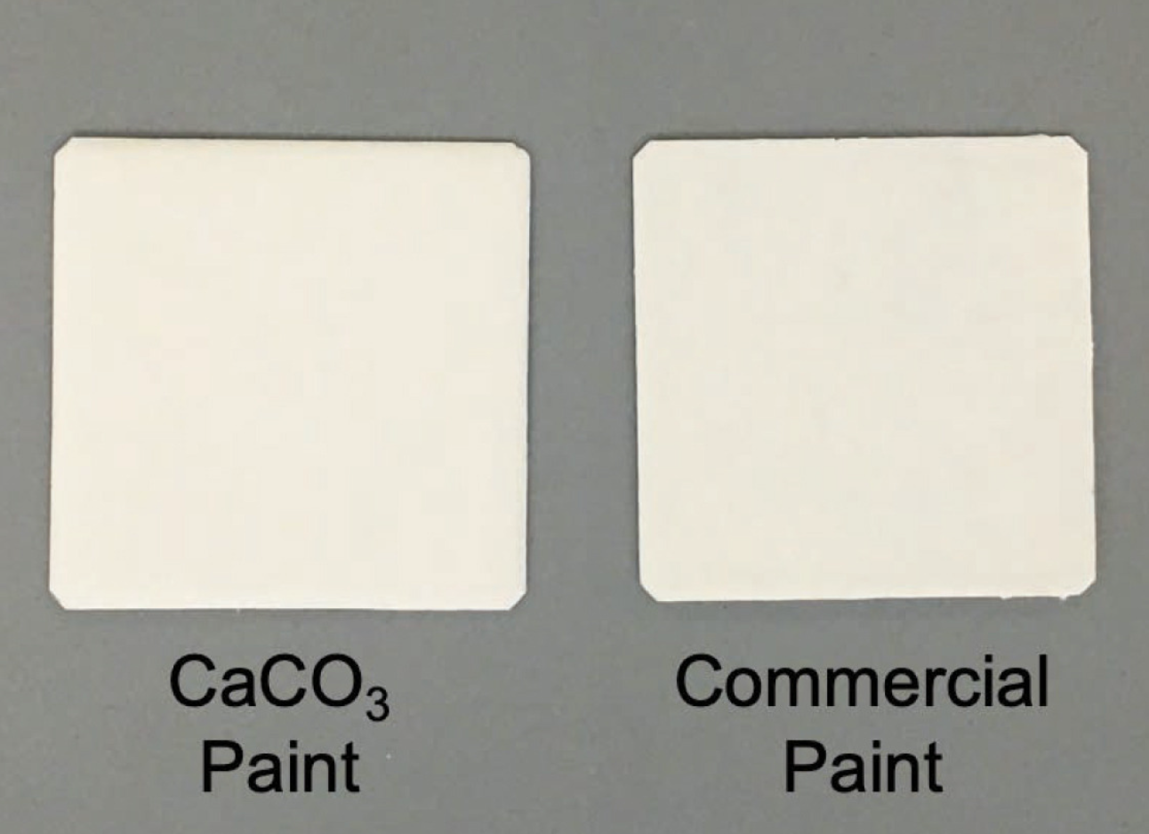 Scientists create the brightest white paint Designyatra